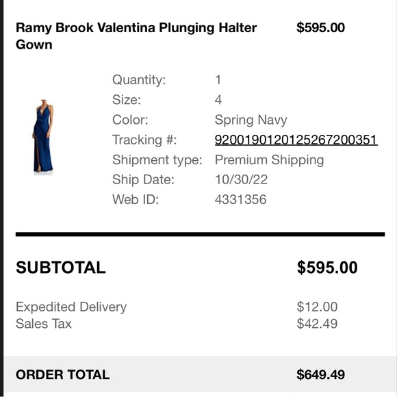 Ramy Brook Valentina Plunging Halter Gown - Picture 4 of 5